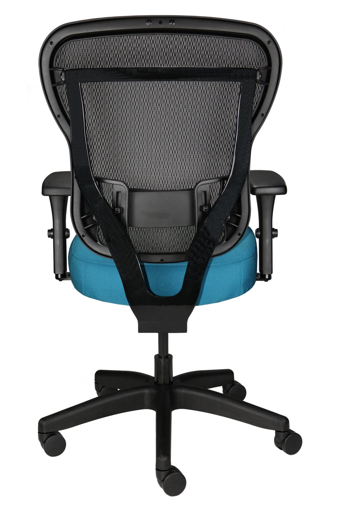 Mesh Back Task Chair With Fabric Seat Buzz Seating   Rika Task Chair Back View 1365x2048 