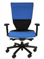 Shield Cop Chair - Blue